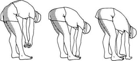 Иллюстрация к книге — Растяжка для каждого [img6722.jpg]