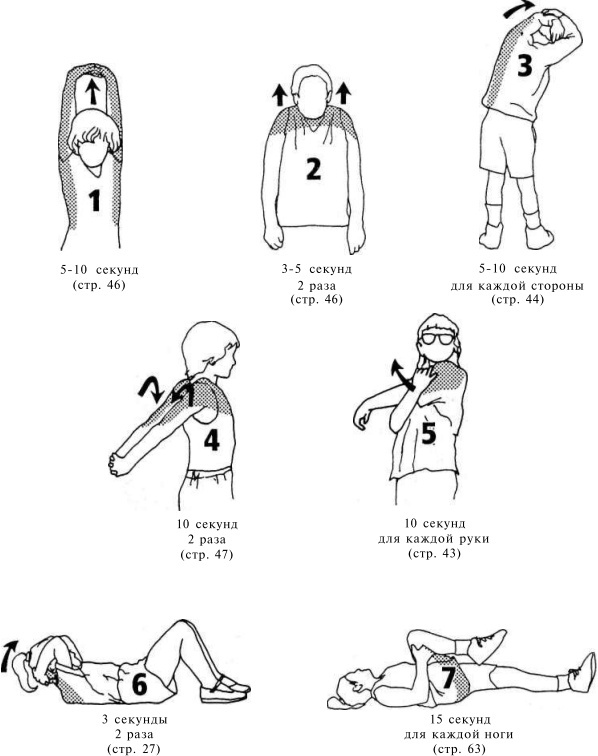 Иллюстрация к книге — Растяжка для каждого [pic31.jpg]