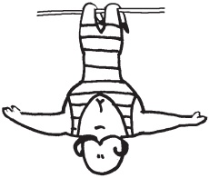 Иллюстрация к книге — Уникальная система изометрических упражнений Железного Самсона [autogen_ebook_id114.jpg]