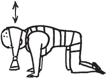 Иллюстрация к книге — Уникальная система изометрических упражнений Железного Самсона [autogen_ebook_id297.jpg]