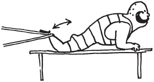 Иллюстрация к книге — Уникальная система изометрических упражнений Железного Самсона [autogen_ebook_id71.jpg]