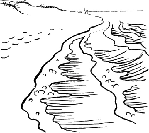 Иллюстрация к книге — Практика радости. Как ходить осознанно [i_008.jpg]