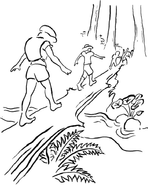 Иллюстрация к книге — Практика радости. Как ходить осознанно [i_012.jpg]