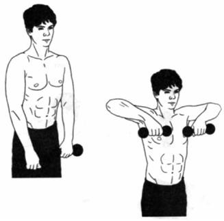 Иллюстрация к книге — Атлетизм без железа [any2fbimgloader23.jpg]