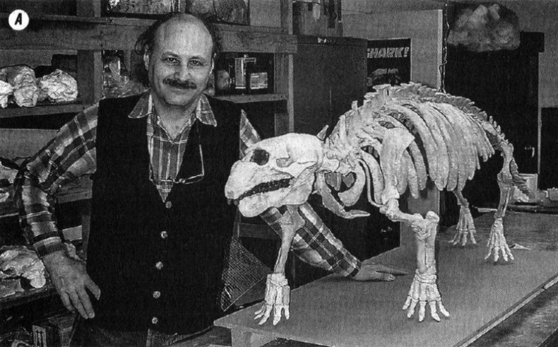 Иллюстрация к книге — Отпечатки жизни. 25 шагов эволюции и вся история планеты [img_165.jpg]