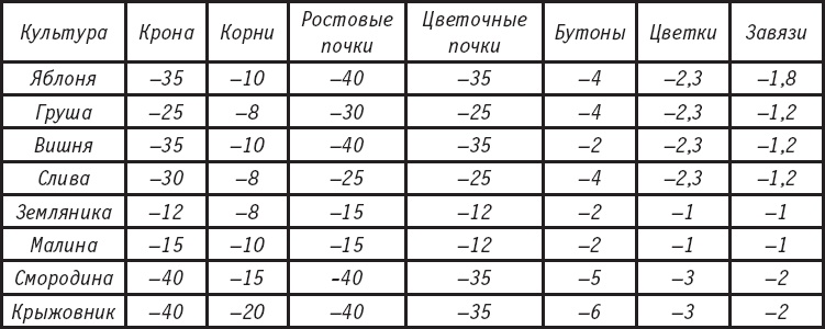 Иллюстрация к книге — Большая энциклопедия садовода-огородника от А до Я [_137.jpg]