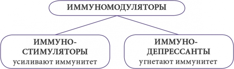 Иллюстрация к книге — От нуля до букваря [i_030.jpg]