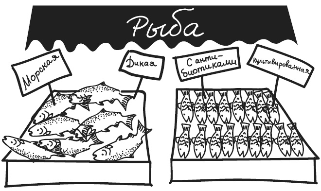 Иллюстрация к книге — Краткий гид по долгой жизни [i_039.jpg]