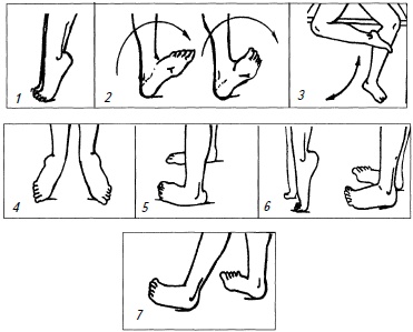 Иллюстрация к книге — Гимнастика для женщин [i_058.jpg]