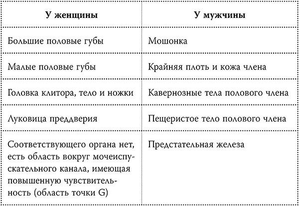 Иллюстрация к книге — Честный разговор с российским гинекологом. 28 секретных глав для женщин [_445.jpg]