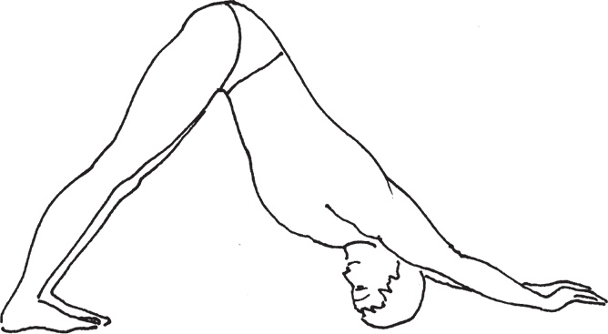 Иллюстрация к книге — Тибетский путь исцеления. Основные приемы [autogen_ebook_id10.jpg]