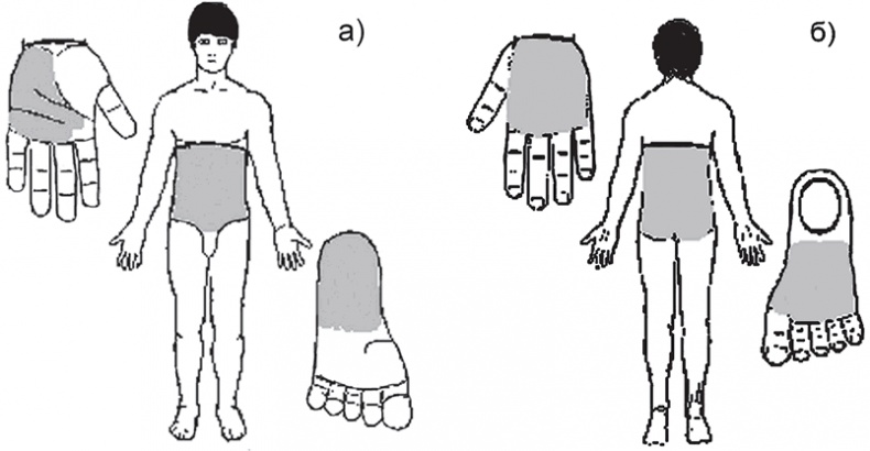 Иллюстрация к книге — Суджок - исцеляющий самомассаж. Основные приемы [autogen_ebook_id11.jpg]