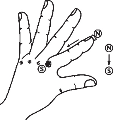 Иллюстрация к книге — Суджок - исцеляющий самомассаж. Основные приемы [autogen_ebook_id13.jpg]