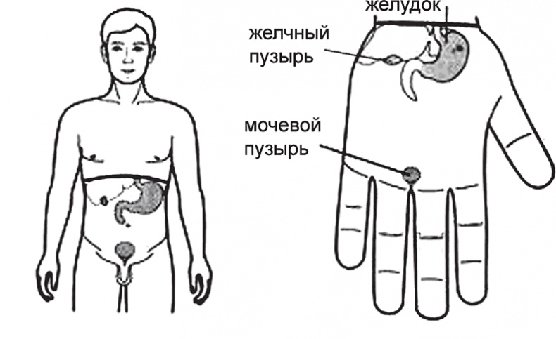 Иллюстрация к книге — Суджок - исцеляющий самомассаж. Основные приемы [autogen_ebook_id18.jpg]