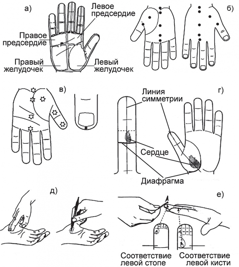 Иллюстрация к книге — Суджок - исцеляющий самомассаж. Основные приемы [autogen_ebook_id26.jpg]