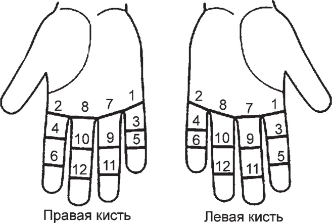 Иллюстрация к книге — Суджок - исцеляющий самомассаж. Основные приемы [autogen_ebook_id43.jpg]