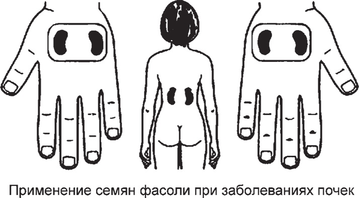 Иллюстрация к книге — Суджок - исцеляющий самомассаж. Основные приемы [autogen_ebook_id48.jpg]