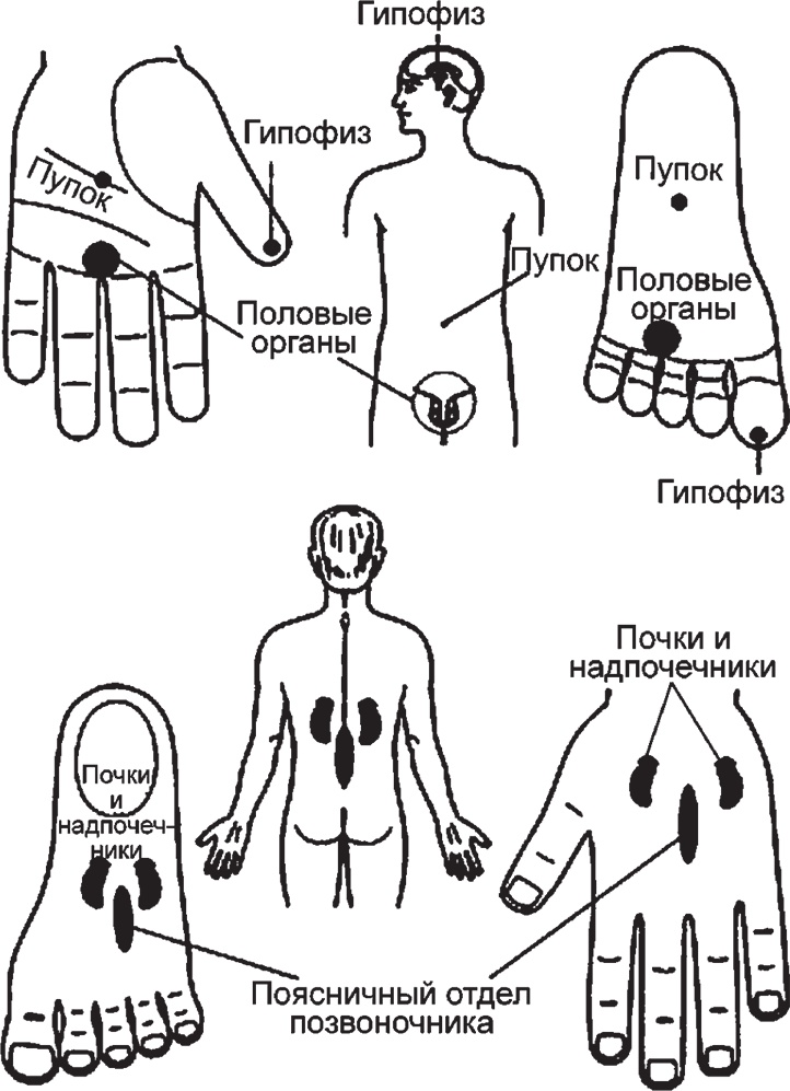 Иллюстрация к книге — Суджок - исцеляющий самомассаж. Основные приемы [autogen_ebook_id50.jpg]