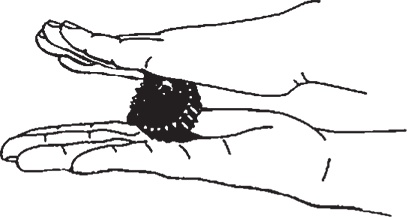 Иллюстрация к книге — Суджок - исцеляющий самомассаж. Основные приемы [autogen_ebook_id56.jpg]