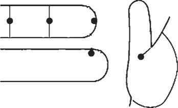 Иллюстрация к книге — Суджок - исцеляющий самомассаж. Основные приемы [autogen_ebook_id59.jpg]