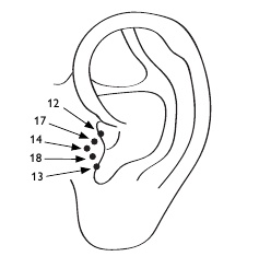 Иллюстрация к книге — Золотой метод стройности [autogen_ebook_id15.jpg]