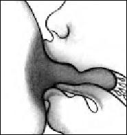 Иллюстрация к книге — Грудное вскармливание. Кормление грудью нужно и ребенку, и маме [i_020.jpg]