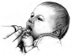 Иллюстрация к книге — Грудное вскармливание. Кормление грудью нужно и ребенку, и маме [i_040.jpg]