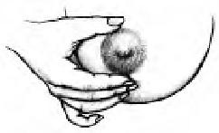 Иллюстрация к книге — Грудное вскармливание. Кормление грудью нужно и ребенку, и маме [i_050.jpg]