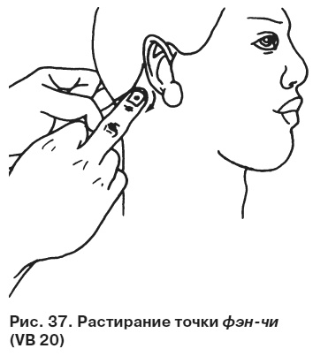 Иллюстрация к книге — Целительные точки от всех болезней в пошаговых схемах [i_038.jpg]