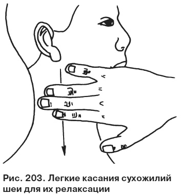 Иллюстрация к книге — Целительные точки от всех болезней в пошаговых схемах [i_204.jpg]