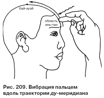 Иллюстрация к книге — Целительные точки от всех болезней в пошаговых схемах [i_210.jpg]