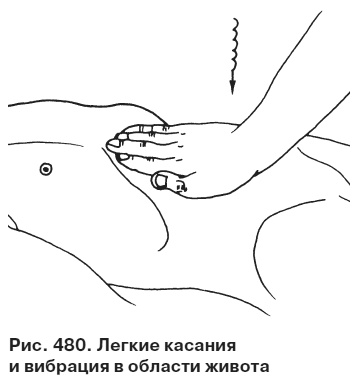 Иллюстрация к книге — Целительные точки от всех болезней в пошаговых схемах [i_481.jpg]