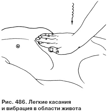 Иллюстрация к книге — Целительные точки от всех болезней в пошаговых схемах [i_487.jpg]