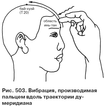 Иллюстрация к книге — Целительные точки от всех болезней в пошаговых схемах [i_504.jpg]