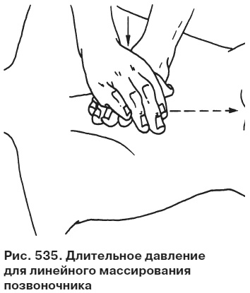 Иллюстрация к книге — Целительные точки от всех болезней в пошаговых схемах [i_536.jpg]
