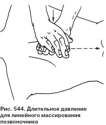 Иллюстрация к книге — Целительные точки от всех болезней в пошаговых схемах [i_545.jpg]