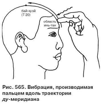 Иллюстрация к книге — Целительные точки от всех болезней в пошаговых схемах [i_566.jpg]