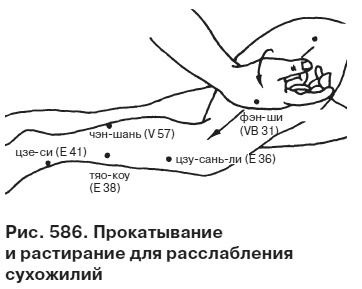 Иллюстрация к книге — Целительные точки от всех болезней в пошаговых схемах [i_587.jpg]