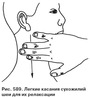 Иллюстрация к книге — Целительные точки от всех болезней в пошаговых схемах [i_590.jpg]