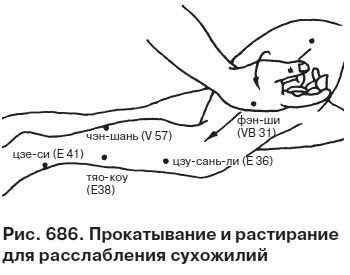 Иллюстрация к книге — Целительные точки от всех болезней в пошаговых схемах [i_687.jpg]