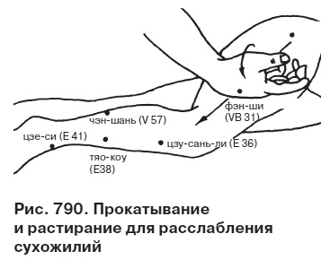 Иллюстрация к книге — Целительные точки от всех болезней в пошаговых схемах [i_791.jpg]