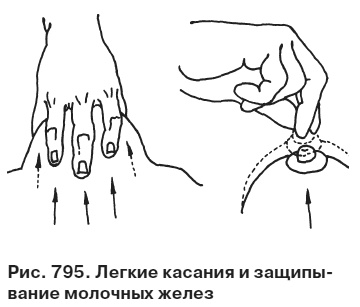 Иллюстрация к книге — Целительные точки от всех болезней в пошаговых схемах [i_796.jpg]