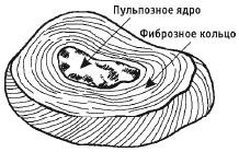 Иллюстрация к книге — Лечебная гимнастика для позвоночника [i_004.jpg]