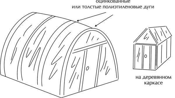 Иллюстрация к книге — Теплицы без ошибок. С чего начать и как эффективно использовать [i_029.jpg]