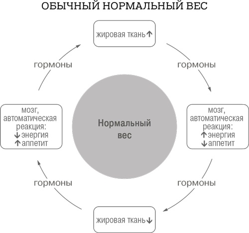 Иллюстрация к книге — Дело не в калориях. Как не зависеть от диет, не изнурять себя фитнесом, быть в отличной форме и жить лучше [i_005.jpg]