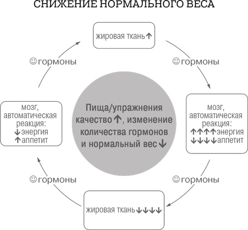 Иллюстрация к книге — Дело не в калориях. Как не зависеть от диет, не изнурять себя фитнесом, быть в отличной форме и жить лучше [i_006.jpg]