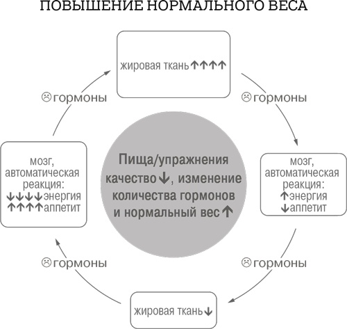 Иллюстрация к книге — Дело не в калориях. Как не зависеть от диет, не изнурять себя фитнесом, быть в отличной форме и жить лучше [i_007.jpg]