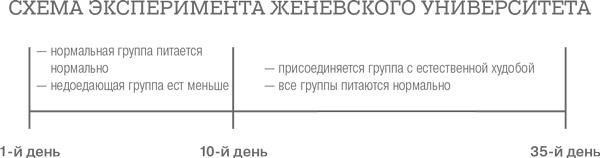Иллюстрация к книге — Дело не в калориях. Как не зависеть от диет, не изнурять себя фитнесом, быть в отличной форме и жить лучше [i_010.jpg]