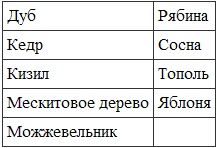Иллюстрация к книге — Викканская магия. Настольная книга современной ведьмы [i_017.jpg]