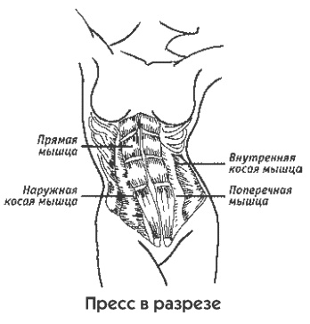 Иллюстрация к книге — Пресс-гимнастика [_022.jpg]